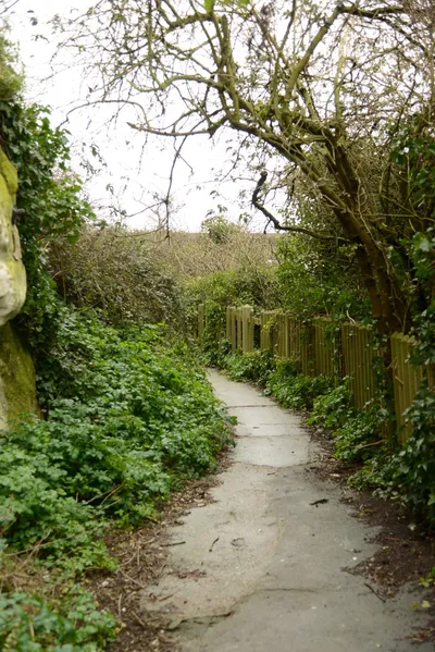 DSC_1293 (Large).JPG